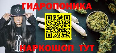 сатива Камышлов