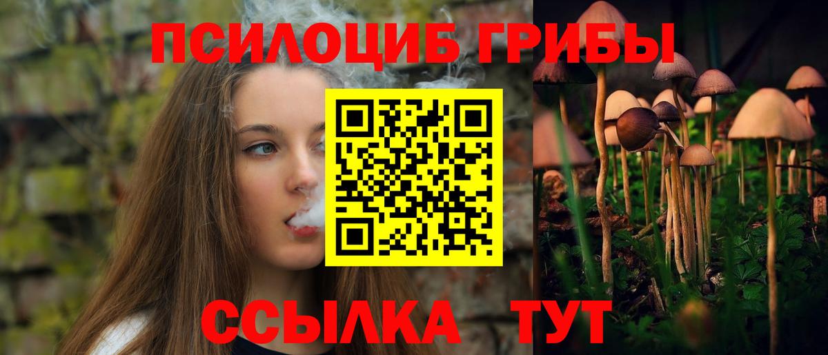 Галлюциногенные грибы мицелий  Галлюциногенные грибы мицелий  Вход с VPN  Кулебаки 